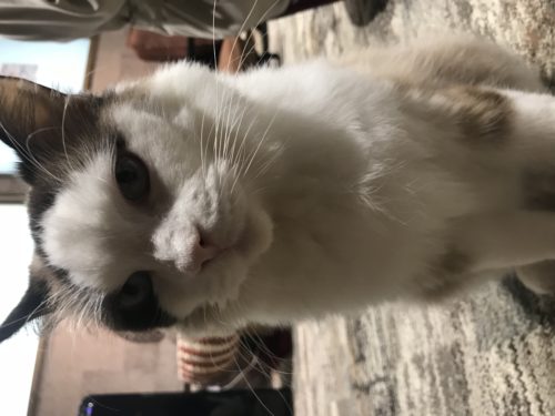 835b4f89-3d86-4a72-ad84-be005869c3f9