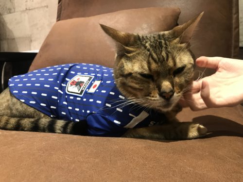 eebc37a2-7e79-46e8-a09e-ff492b78e3f9