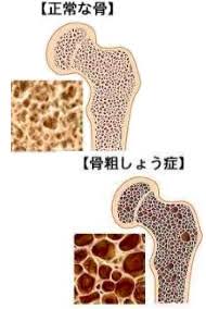 e45ee223-17d6-4673-b22e-86780ac13dcc