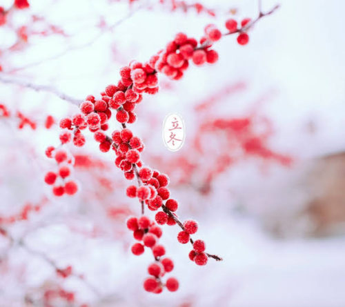 657ddb44-660f-47e2-95b4-3f20be02bc37