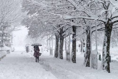 154a0166-f3e0-4491-9138-ebe979760293