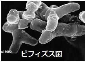 50f361b7-f555-428e-89d8-329f5a9dee32