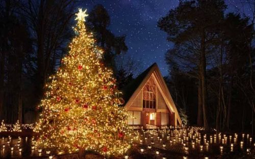 73e95540-4475-44b2-b663-07a0b8180c25