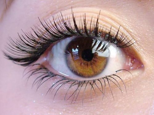 b3797547-4e45-4778-9961-444a7b6e091e