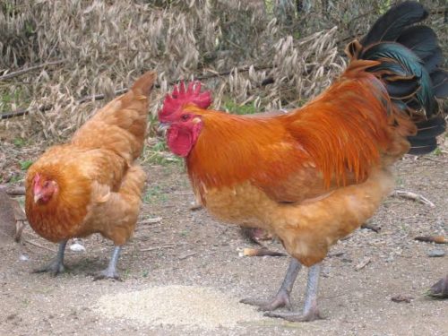 b132f83c-1025-4bb6-89c6-224591627aed