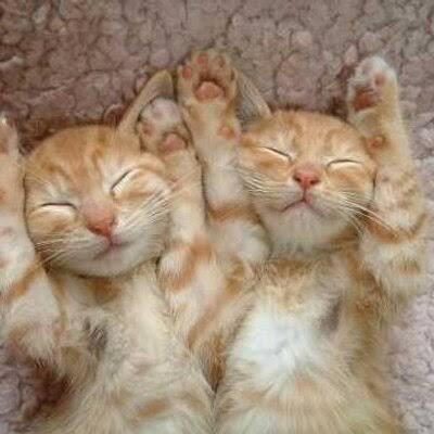 ff074c2e-35e2-4b3a-9ae7-02caf01cfe81