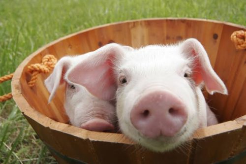 d1975a5c-7701-4148-8ab1-3fdb2d75b3c1