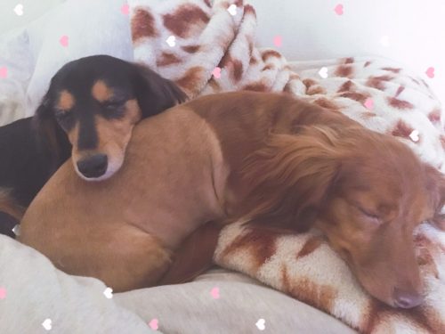 5b137230-465e-4b6c-89d8-38756441ff77