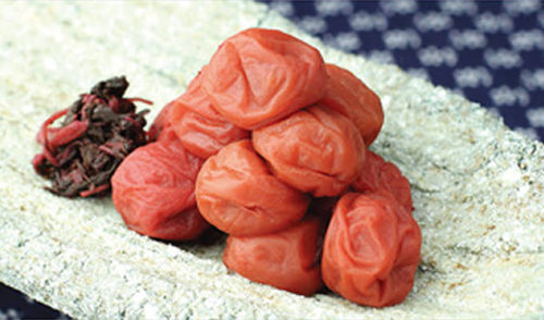 60255b27-5581-4e46-8b81-d3218e046c0b