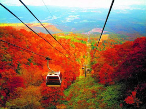 09220876-abf6-43e6-af4b-776e60c787e6