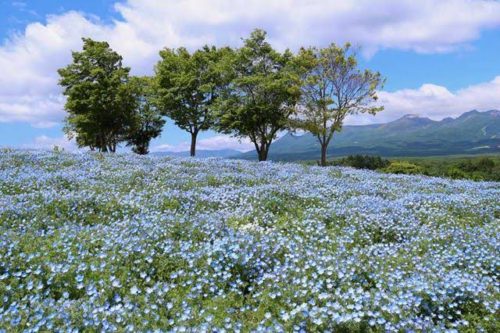 eadcff89-c5bd-4edf-b866-11d7927ab902