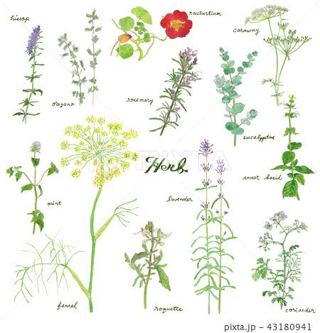 6a9759cc-ba43-4cd6-9fbf-bc9ec2b76768