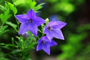 9e2cda35-ee0e-4edd-9713-2beaa50b6b04