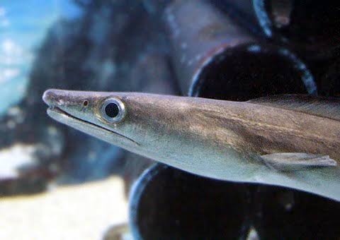 b6dc6ab9-30da-4dd7-8bee-73f29a305887