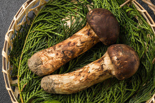 1e0f0a4f-e06a-4031-89be-d36cf1cefc54