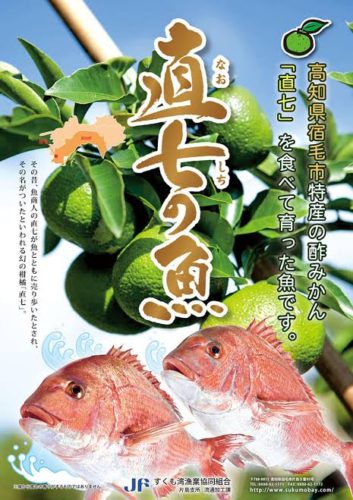 df2fcdde-1107-4c56-a60f-686dcfa6c924