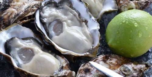 759ac2c1-26e7-4fae-861b-8728a29f0257