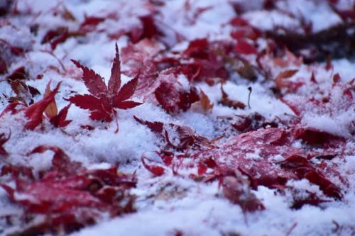 9a63cec6-f4fe-4d03-9221-5df377185b5d