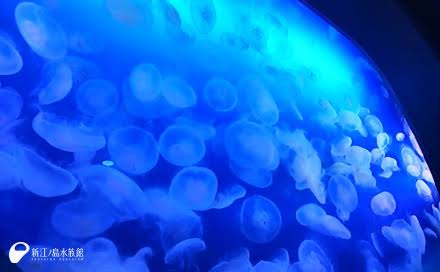 b09a10d0-1574-49f4-affa-ae543cb83fe9