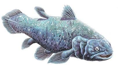 d1e877f0-de18-4871-9c59-0fc6ad358134