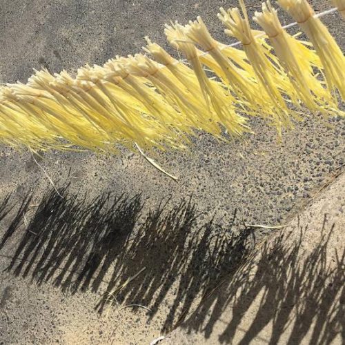 c7aa0c51-568b-4c17-83e9-f22357579676