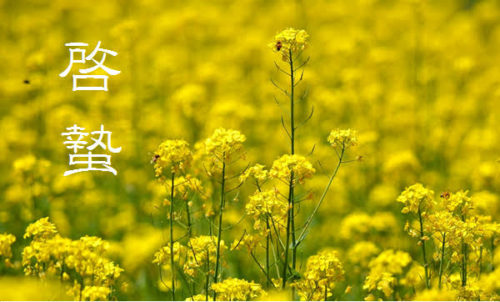 39474d70-dd6c-4580-9f37-75713e0b6242