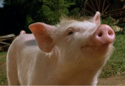 547e8cff-2723-43e3-825d-05a9aae8c7a3