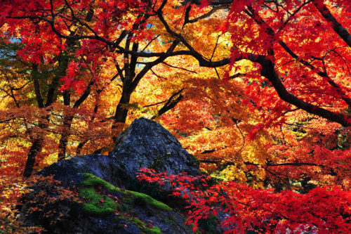 34c06a5f-2f4d-47e1-b0f0-638893301a79