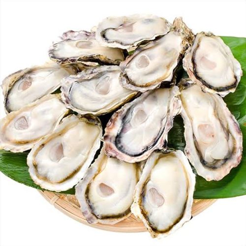 6fe43160-2c43-47fc-b363-77bd2d4c420a