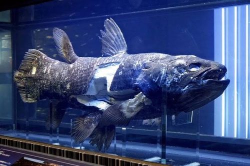 248d4c25-b885-449a-86fe-85a463d5fe64